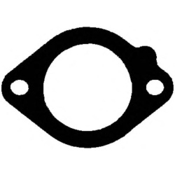 DIHTUNG AUSPUHA BMW E46 N52-N53-N54 REINZ