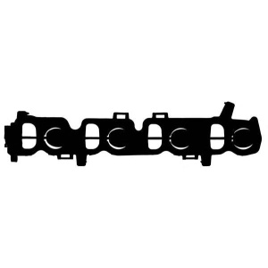DIHTUNG USISNE GRANE BMW F10 2.0 dizel REINZ