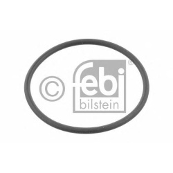 GUMENI DIHTUNG TERMOSTATA     FE