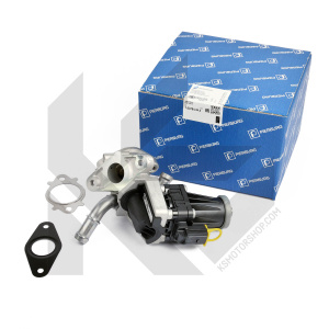 EGR VENTIL SA HLADNJAKOM 2.0 tdi PIERBURG