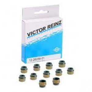 GUMICA VENTILA BMW 6mm 1.8tds GARNITURA 16KOM REINZ